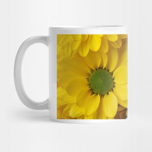 Yellow Pom Flower Close Up Mug